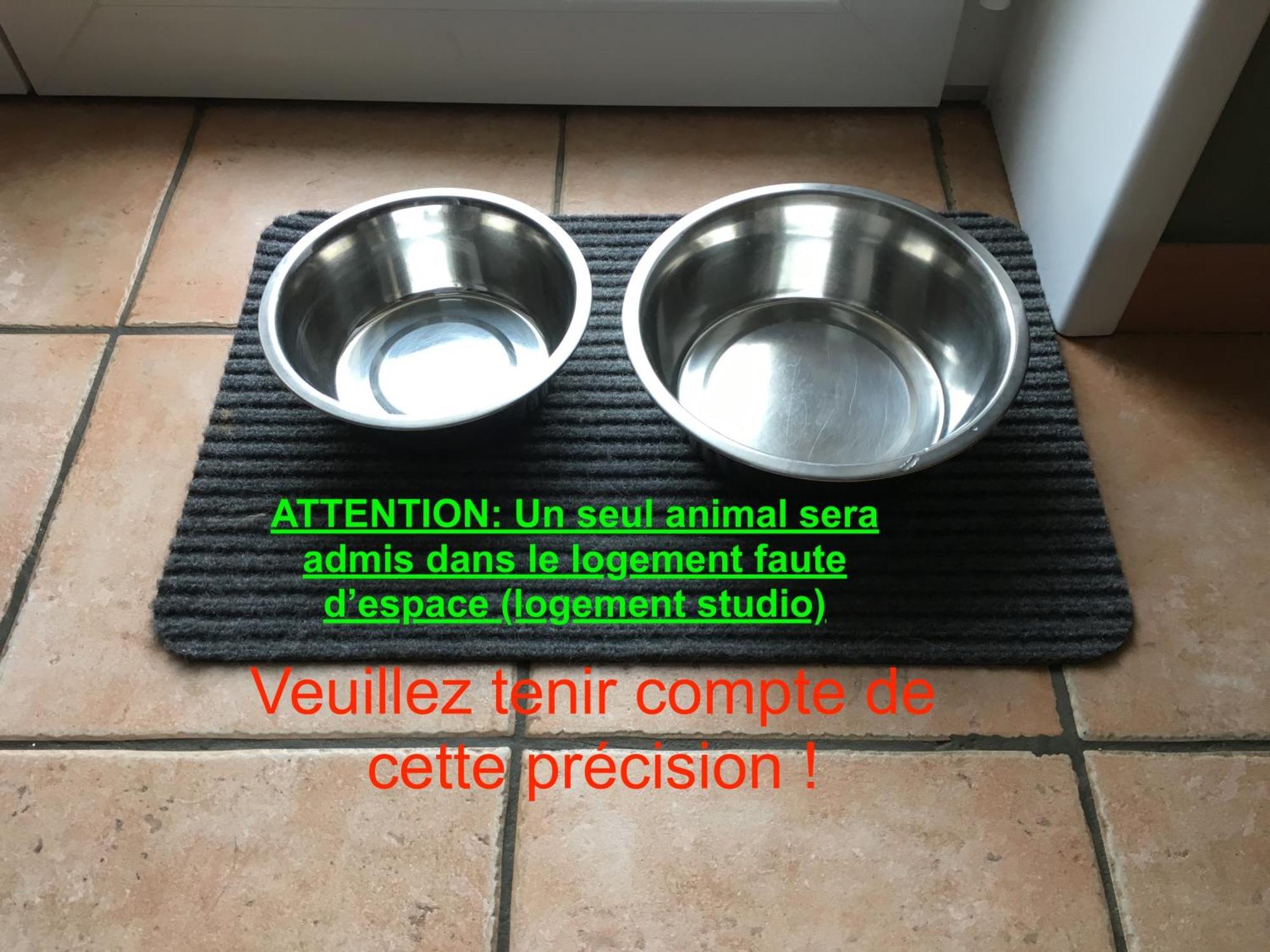 studio côté mer  la naturelle Wimereux Exterior foto